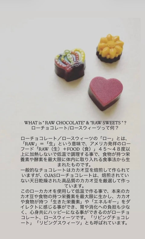 OJAS メルティー　みかん　RAW CHOCOLATE