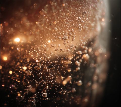 Champagne