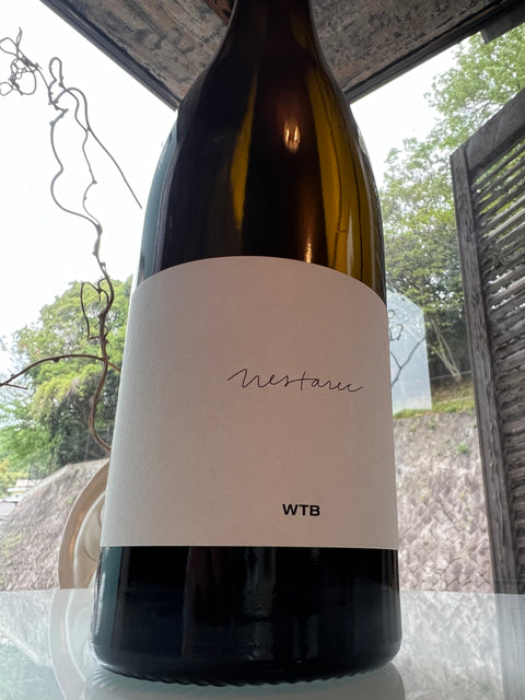 Milan Nestarec ミラン・ネスタレッツ　WTB'21