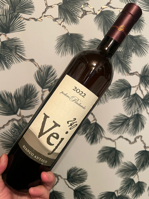 Podere pradarolo ポデーレ・プラダローロー　Vej Bianco antico’22