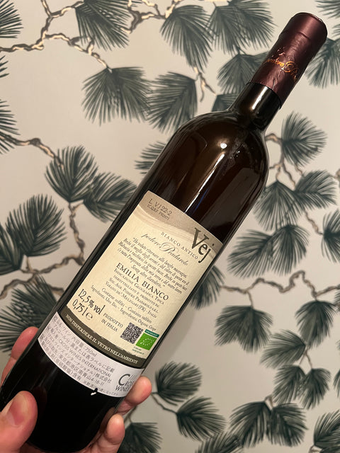 Podere pradarolo ポデーレ・プラダローロー　Vej Bianco antico’22